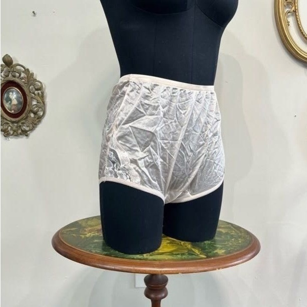 Vanity Fair High-Cut Lace Inset Briefs Style 13-001